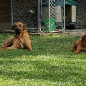 Meet your Posher, Kenny